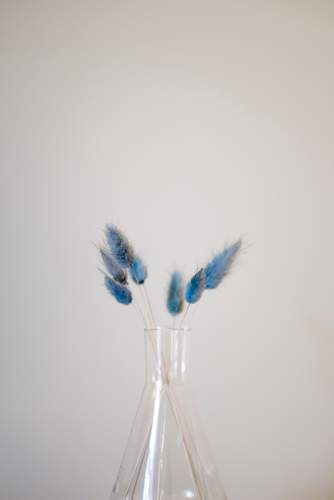 Blog: Inspiration
